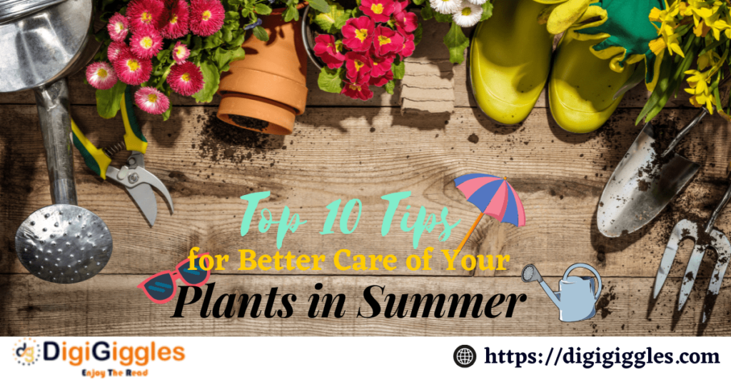 10 Tips for Better Care of Your Plants in Summer