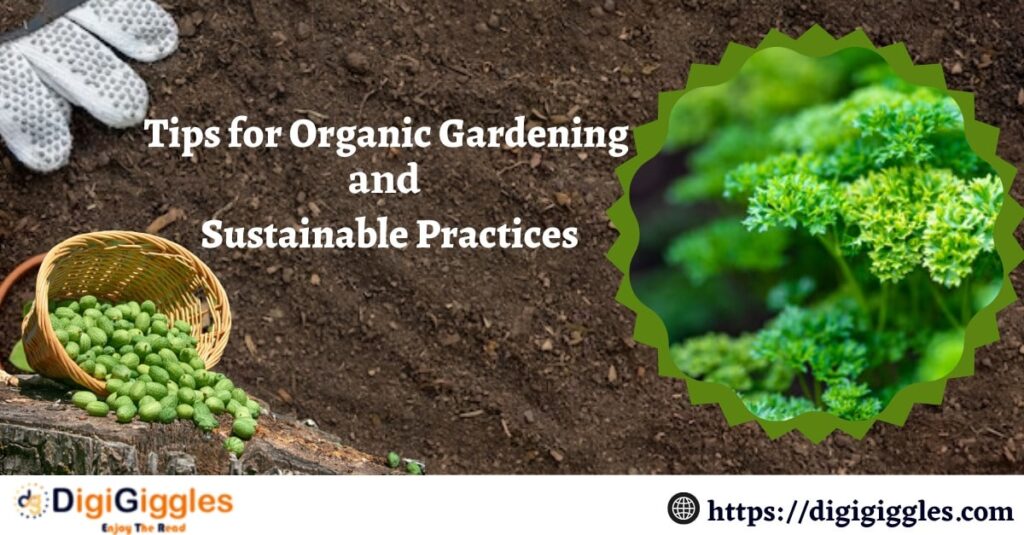 Tips for Organic Gardening and Sustainable Practices
